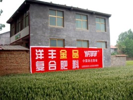  泰宁如何让墙体广告展现最大化效果