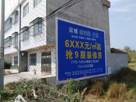  泰宁墙体广告质量分析