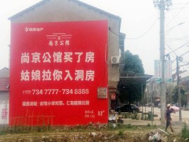  泰宁墙体广告在乡镇、农村市场的媒体优势